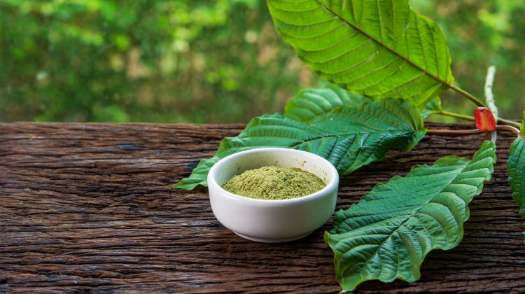 From Tree to Tea: The Origins, Dosage Guidelines, and Effects of Kratom Powder